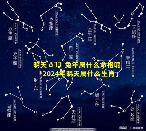 明天 🐠 兔年属什么命格呢「2024年明天属什么生肖」